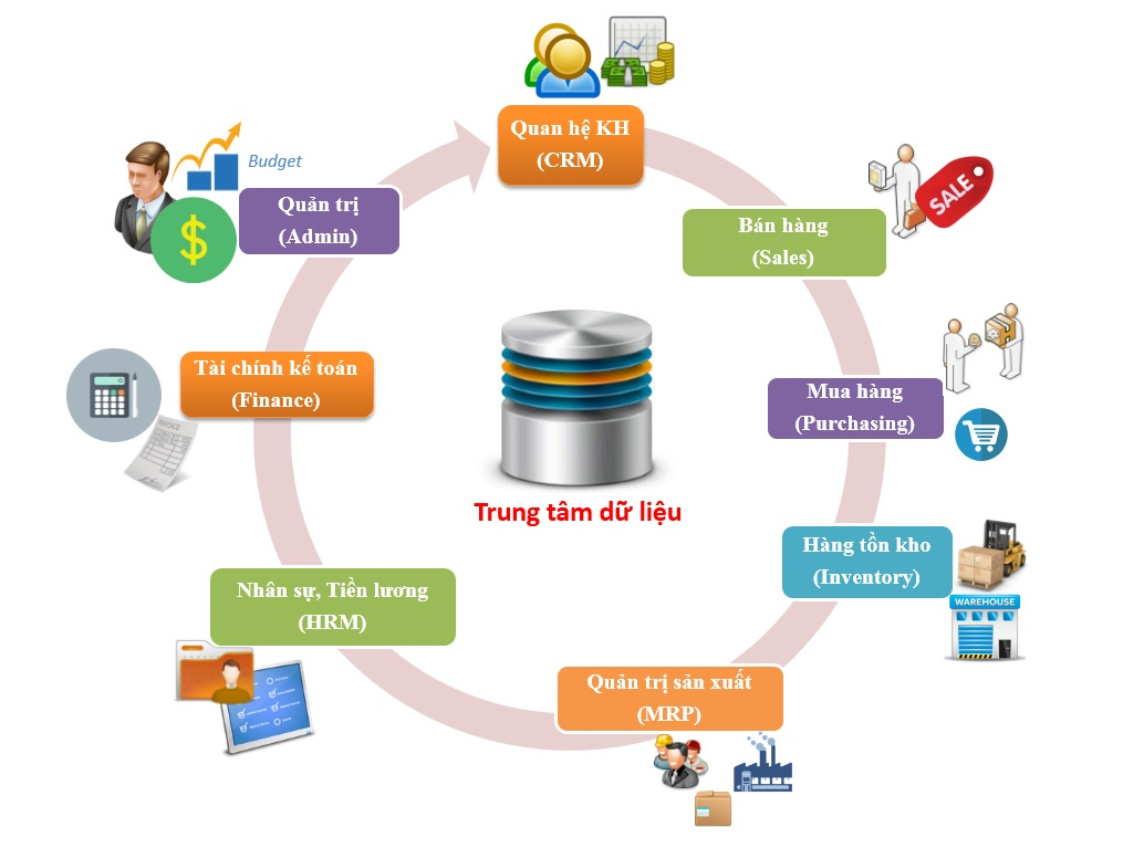 phần mềm erp 247